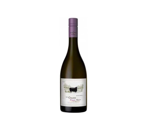 LE GRAND NOIR Pinot Noir (red dry)