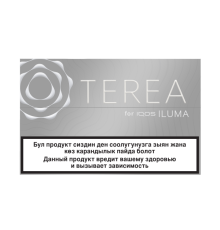 Сигареты Terea Silver